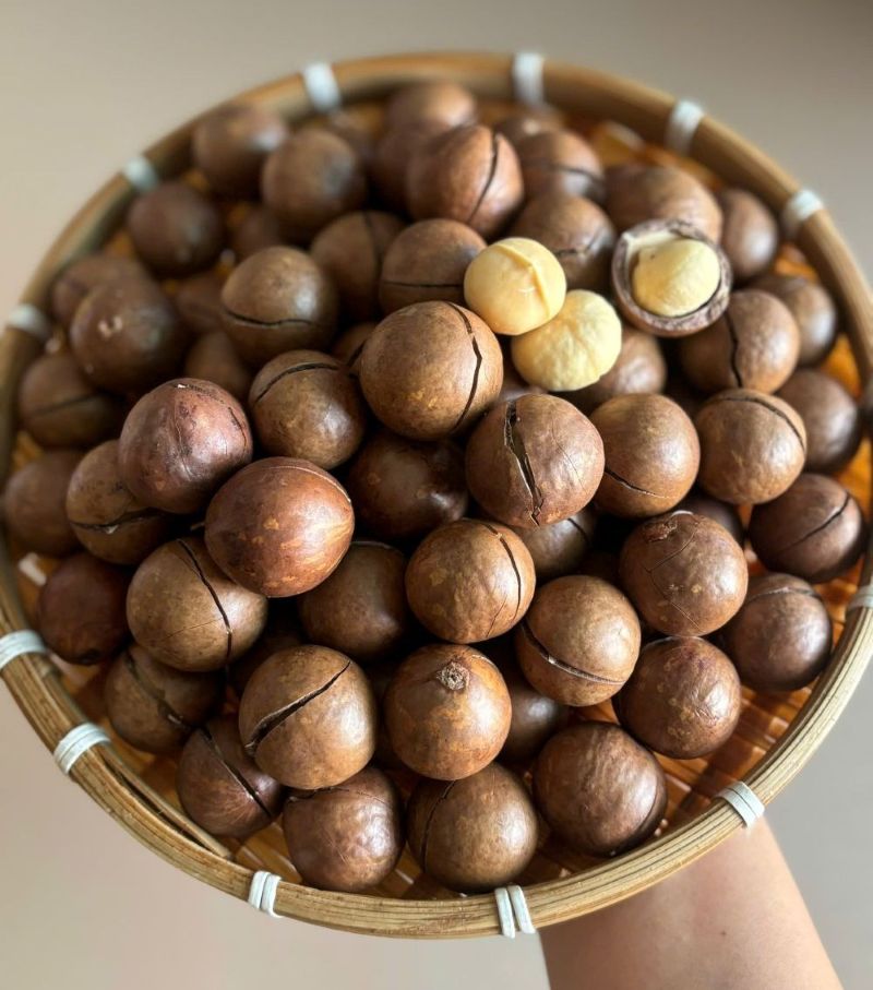 Hạt Macca nguyên vỏ 500gr