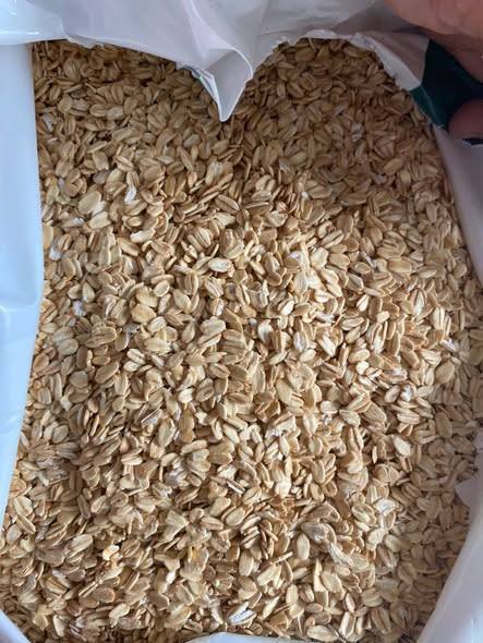 YẾN MẠCH UNI ÚC Organic (0,55 - 1,00 mm) – CÁN VỠ, CÁN DẸT SỈ TỪ 25KG