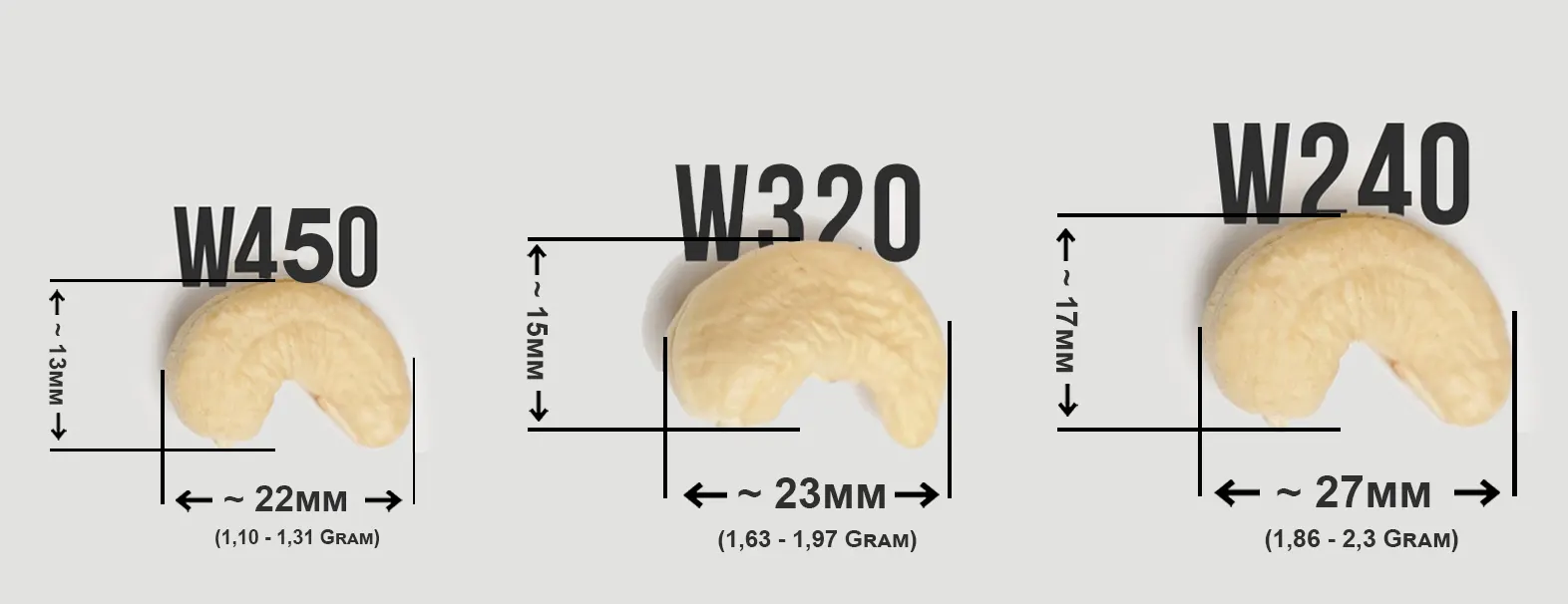 Phân Biệt Kích Cỡ Hạt Điều Việt Nam: hạt điều W240, hạt điều W320, hạt điều W450! - KIMMY FARM VIETNAM