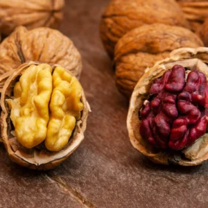 Quả Ốc chó đỏ Mỹ - còn vỏ