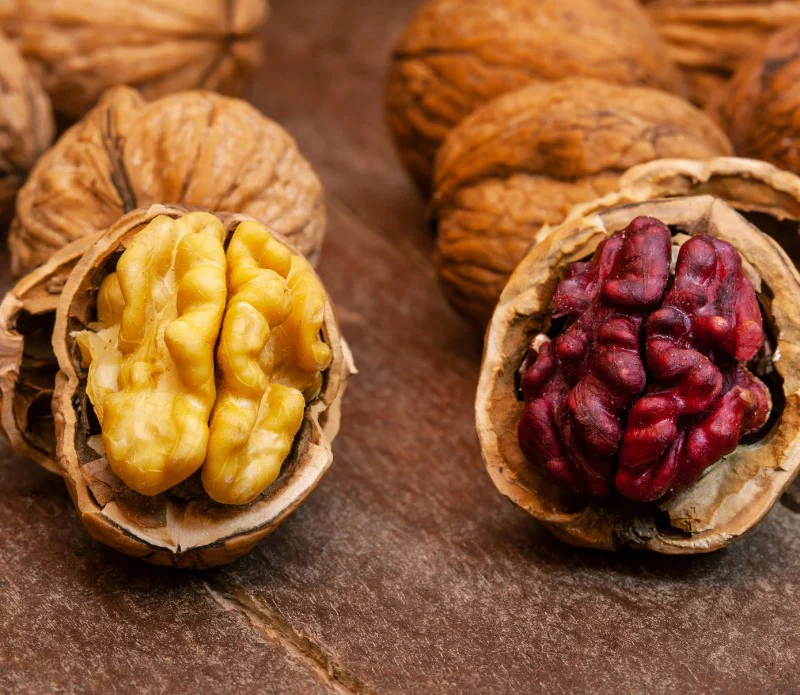 Quả Ốc chó đỏ Mỹ - còn vỏ